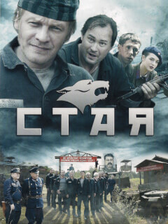 Стая